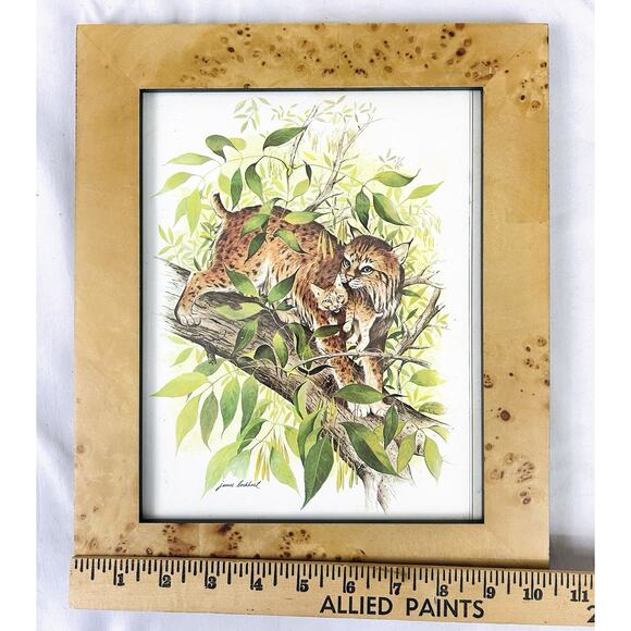 Vtg Wildlife Animal Bobcat Print by James Lockhart in Faux Burl Wood Frame - Picture 2 of 4